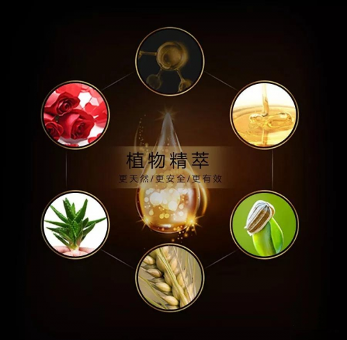 5b39d74e2148a.png