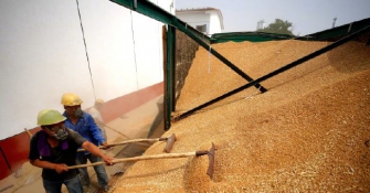 国家统计局：我国夏粮生产再获丰收 比去年增加24.2亿斤