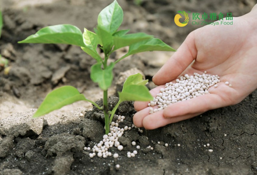 5f180a0e976a2.jpg 5f180a0e976a2.jpg