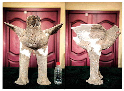 6191c3c1f257c.jpg 6191c3c1f257c.jpg