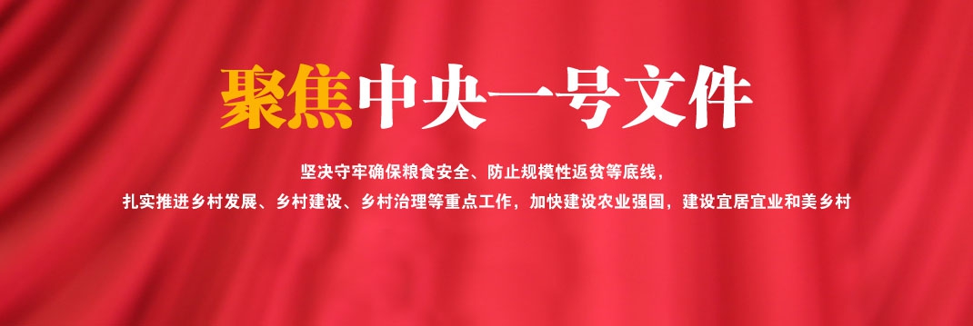 中共中央 国务院关于做好2023年全面推进乡村振兴重点工作的意见