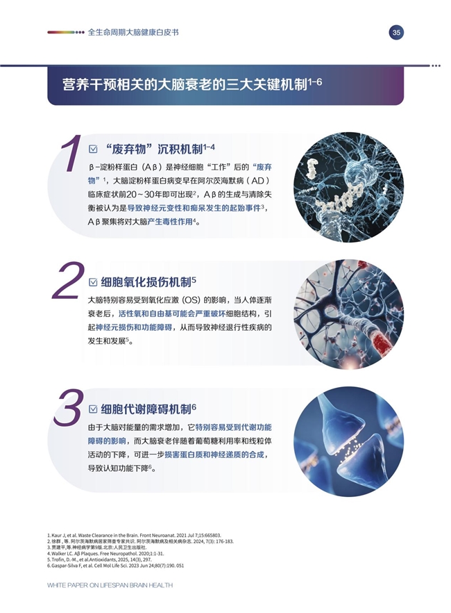 《全生命周期大脑健康白皮书》发布会圆满举办,专家呼吁从20岁起科学护脑